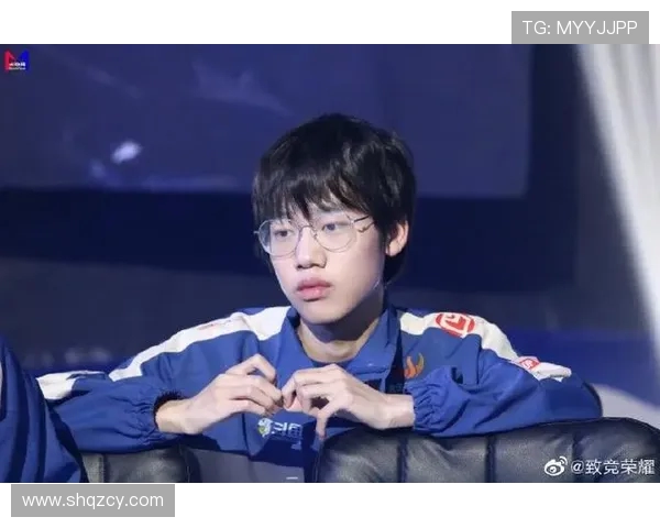 TES在挑战者杯中的耐力表现分析与总结