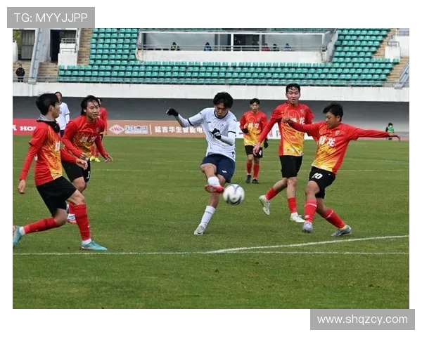 南京足球队的运营模式与发展策略深度解析
