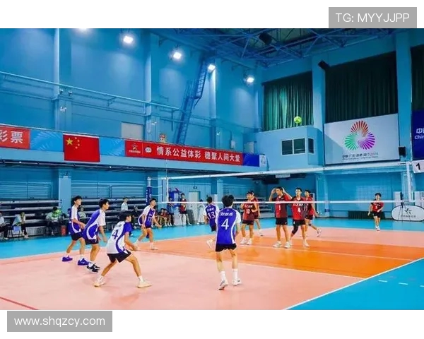 广州排球队荣登排球意识排行榜第一名引领全国排球新潮流