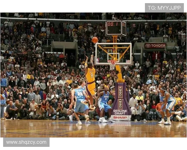 张秀英的篮球人生深度对话：从球场到人生的启示与成长之路