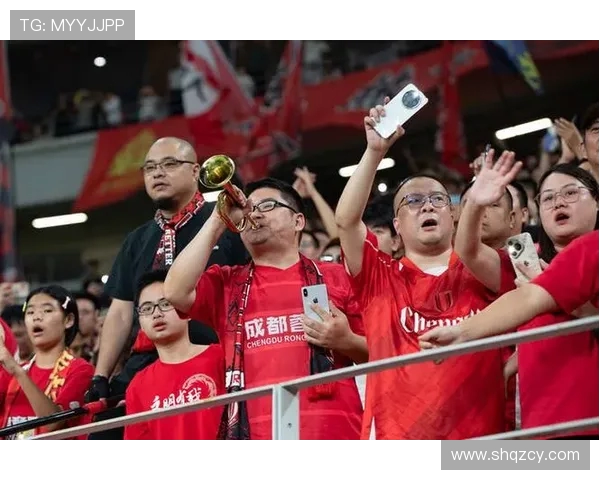 成都足球队逆袭之路欧锦赛特别报道展现拼搏精神与团队力量