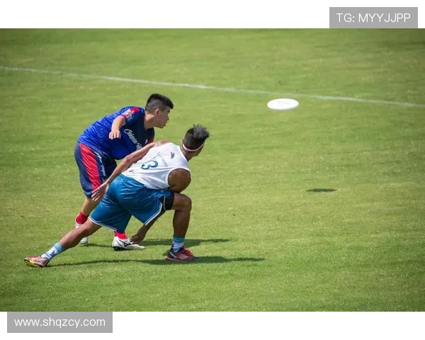 深圳飞盘队实力解析:探索这支新兴团队的成长与挑战