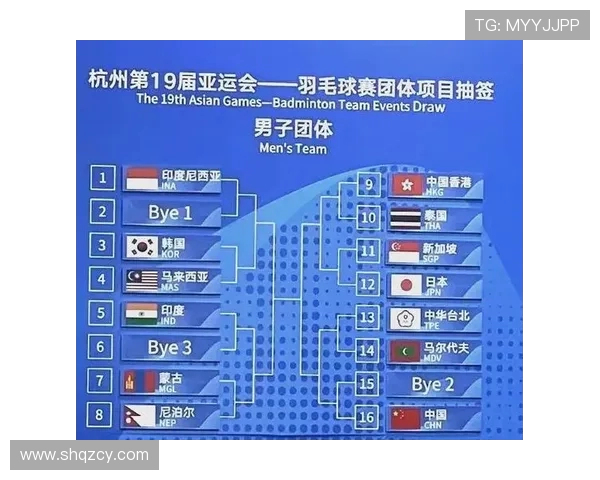 杭州亚运会羽毛球队展现强大实力与团队精神的精彩表现分析