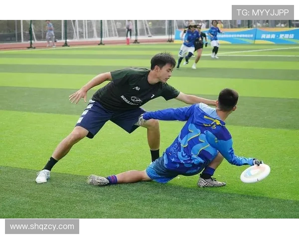 飞盘热潮席卷北京飞盘队如何实现速度与技术的双重突破