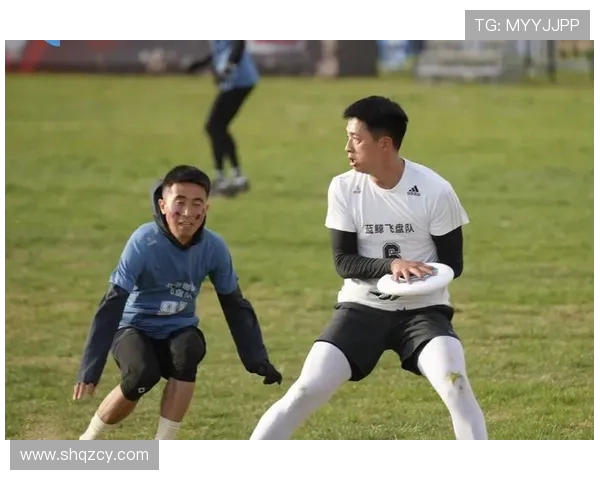 北京飞盘队实力对比深度解析与其他队伍的竞争优势分析