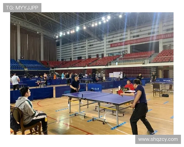 南京乒乓球队运营分析：成功经验与不足之处的深度剖析