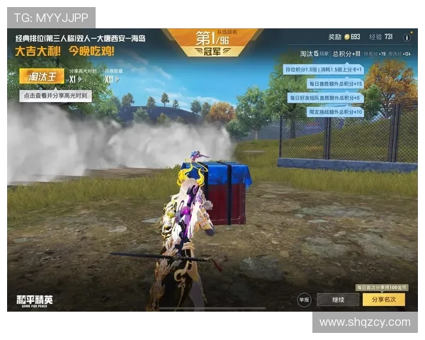 和平精英巨献：深度解析WE战队的实力与团队精神