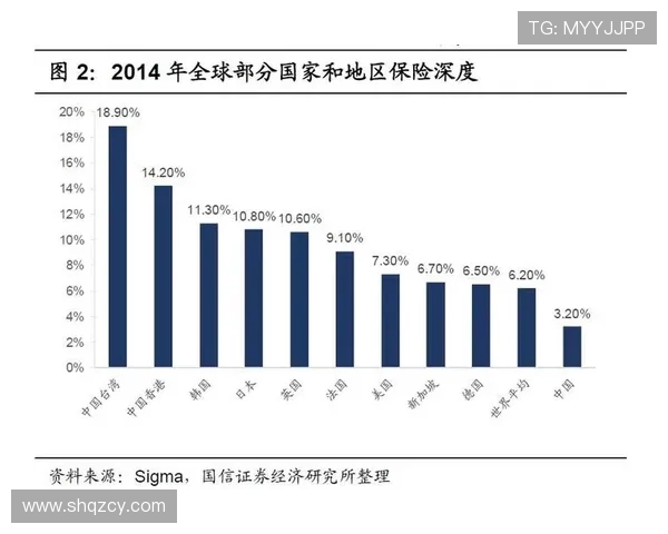 成都网球队运营分析：成功经验与面临挑战的深度探讨